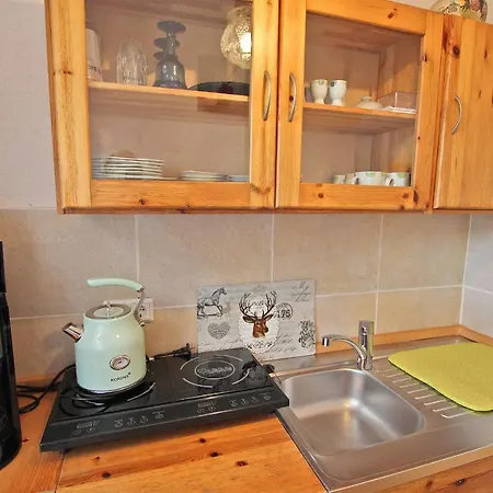 Ferienhaus Waren Mueritz 10211 Holiday home